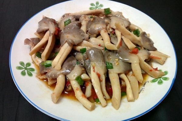 小炒秀珍菇的做法图解13