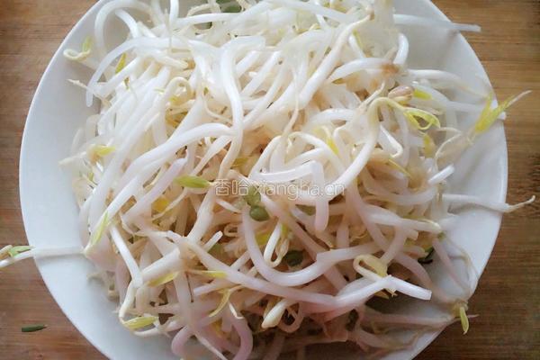 韭菜炒绿豆牙的做法图解1