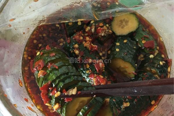 腌黄瓜的做法图解6