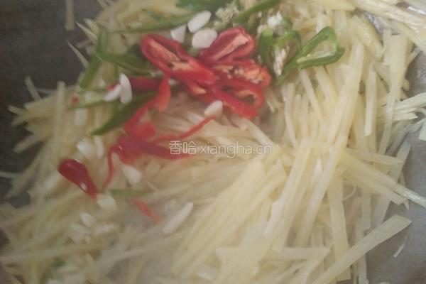 香辣土豆丝的做法图解6