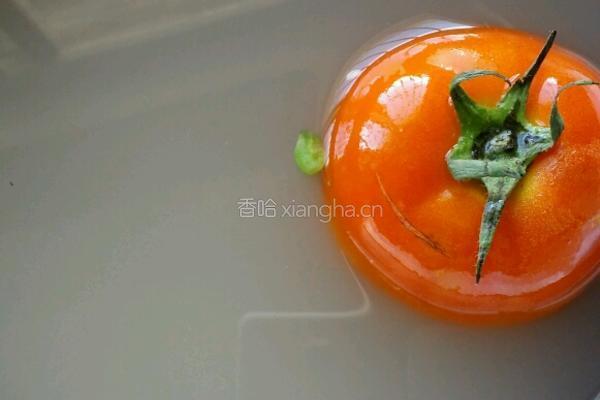 番茄炒油渣的做法图解2