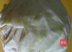麻辣卷心菜的做法图解1