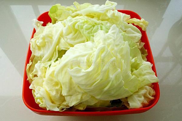 卷心菜素包子的做法图解5