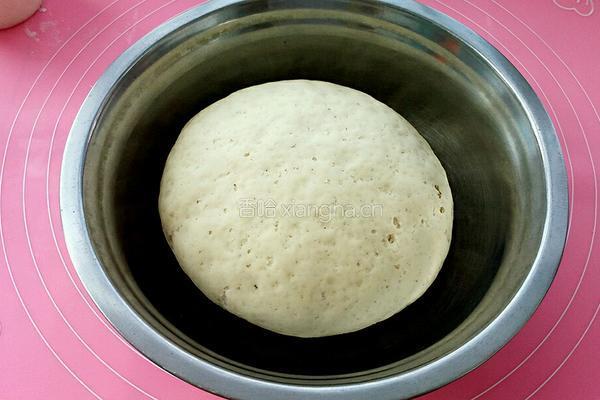 卷心菜素包子的做法图解10