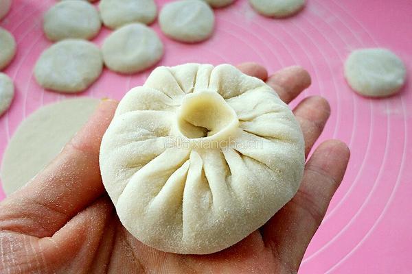 卷心菜素包子的做法图解16