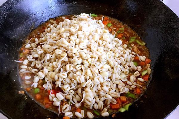豆芽炒肉末的做法图解11