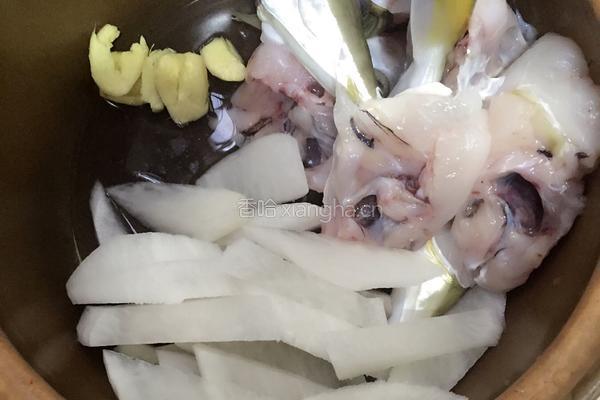 焖海豚的做法图解1