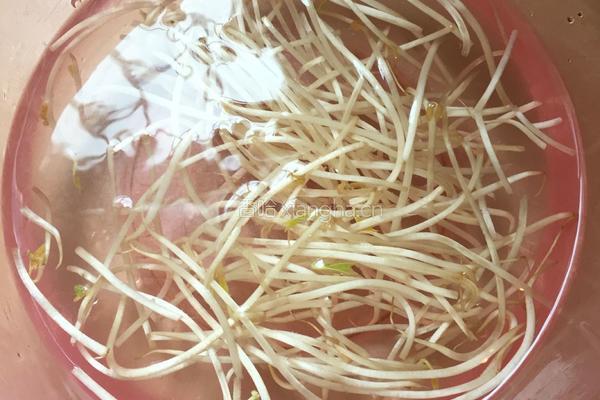 绿豆芽老友粉的做法图解2