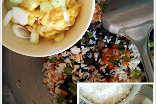 木耳蛋炒饭的做法图解5