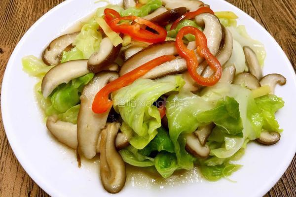 蘑菇的做法图解5
