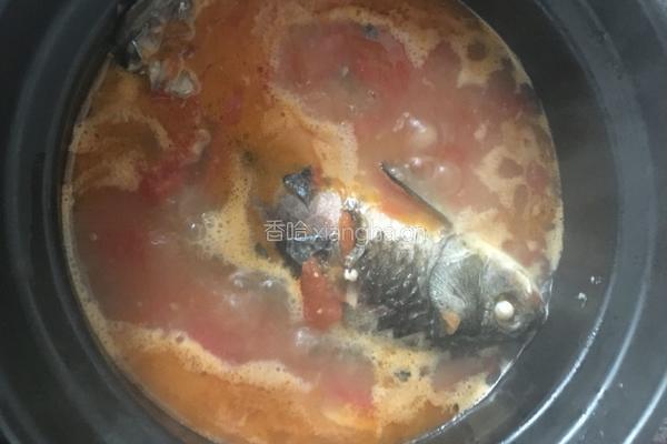 番茄鲫鱼汤的做法图解6
