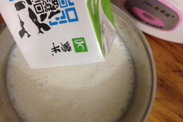 自制酸奶果仁的做法图解5