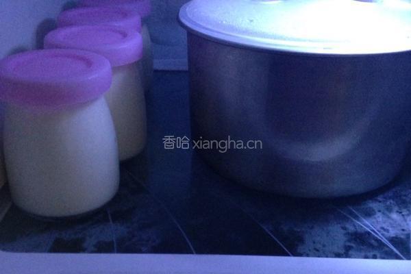 自制酸奶果仁的做法图解12