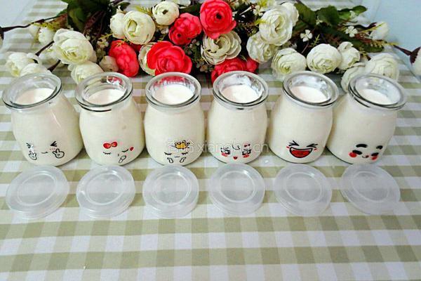 DIYの酸牛奶的做法图解7