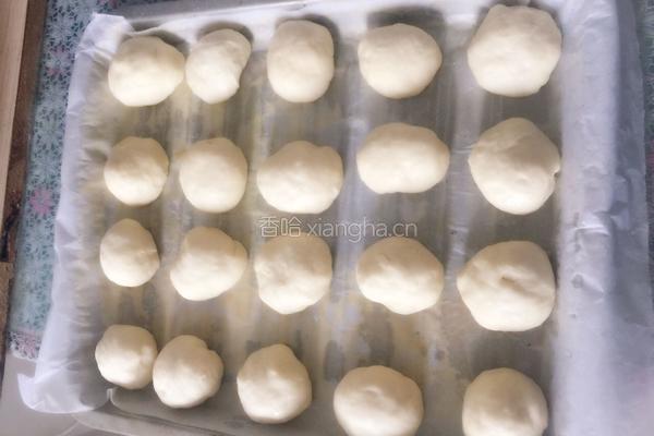 蜂蜜牛奶餐包的做法图解9