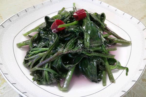 红背菜的做法图解3