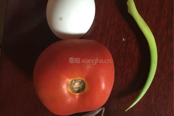 西红柿洋葱煎鸡蛋的做法图解1