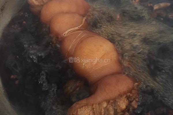 水晶肘花的做法图解3