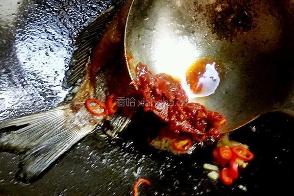 豆瓣喜头鱼的做法图解7