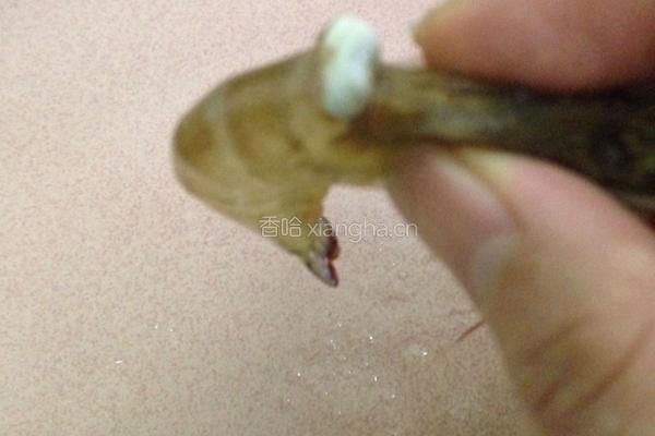 白灼虾的做法图解3