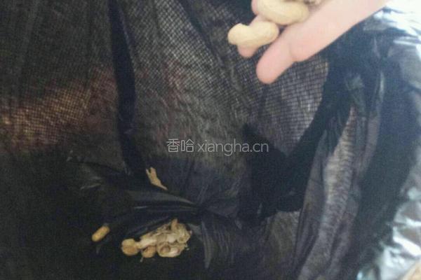 剥花生的做法图解5