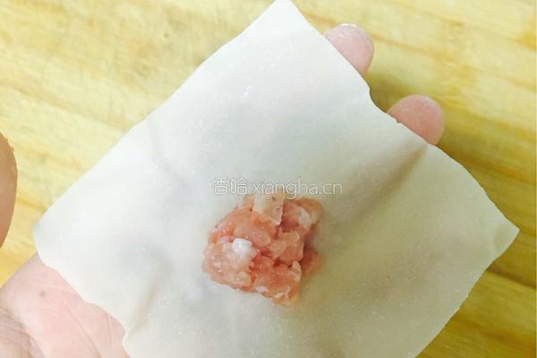 猪肉馄饨(浓汤宝版)的做法图解5