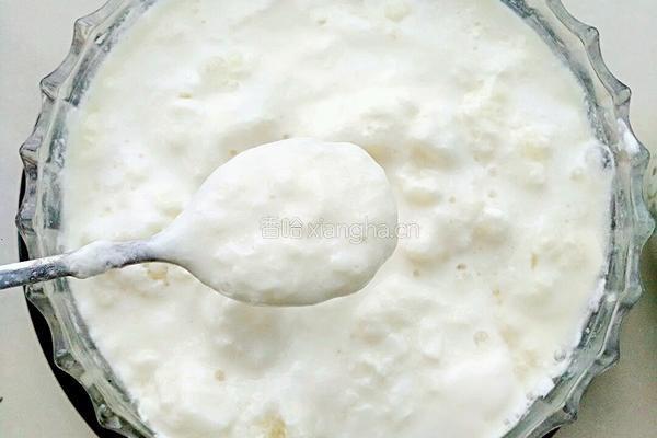 雪莲菌酸奶的做法图解5