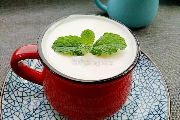 雪莲菌酸奶的做法图解7