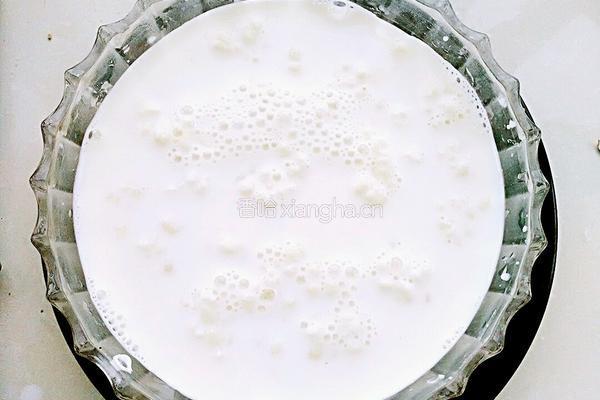 雪莲菌酸奶的做法图解9