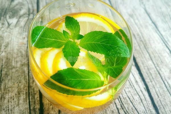蜂蜜薄荷柠檬水的做法图解5