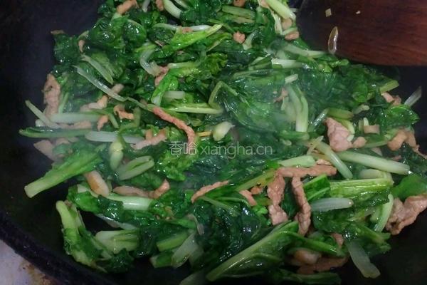 肉丝粉丝小白菜的做法图解6