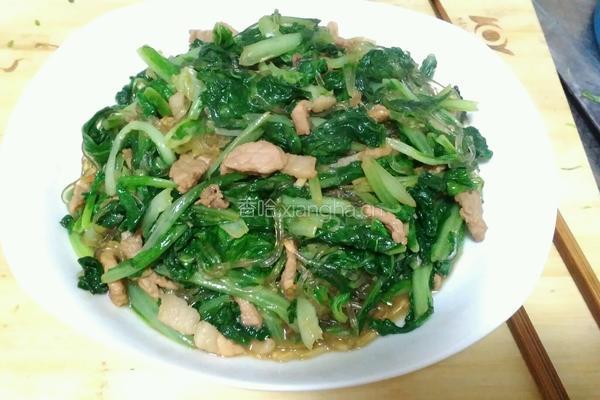 肉丝粉丝小白菜的做法图解9