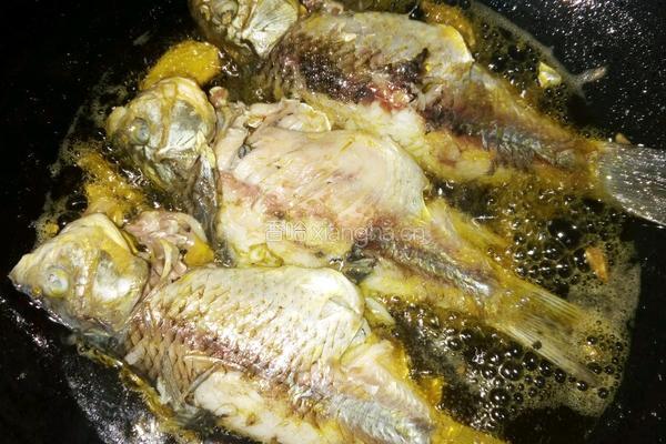 肉片鲫鱼汤的做法图解6