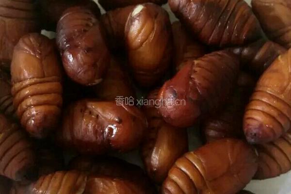 炸蚕蛹的做法图解1