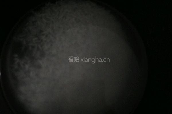 二米银耳粥的做法图解1