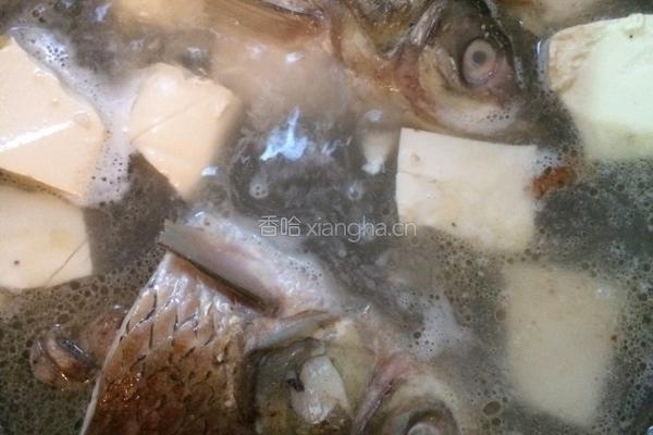 草鱼头豆腐汤的做法图解5