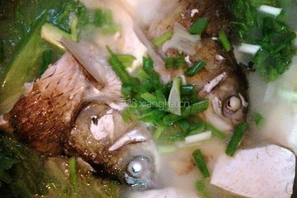 草鱼头豆腐汤的做法图解6