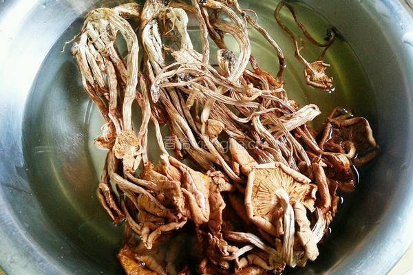 茶树菇烧猪蹄的做法图解2