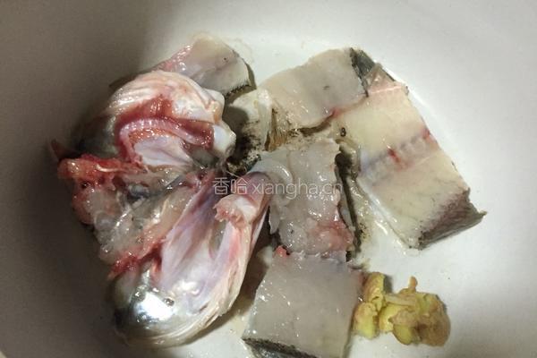 萝卜丝鲈鱼汤的做法图解4