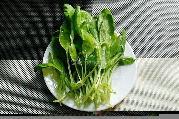 肉丁鸡蛋汤面的做法图解1