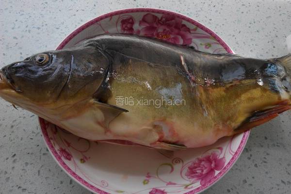 家常炖鲤鱼的做法图解2