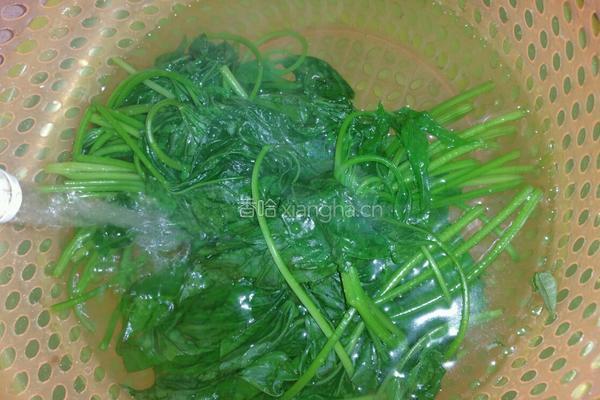 蒜香红薯叶的做法图解5