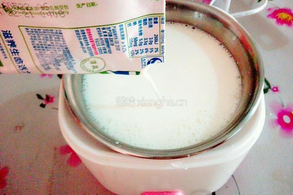 自制酸奶的做法图解6
