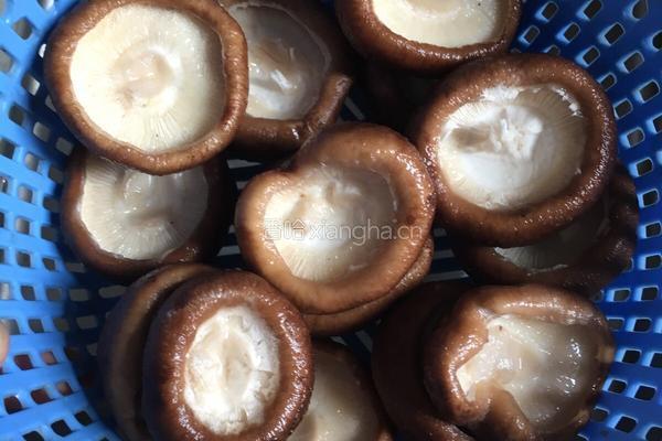 瘦肉鹌鹑蛋瓤鲜冬菇的做法图解1