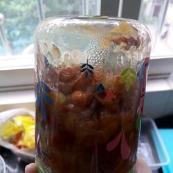 黄皮蜜饯的做法[图]