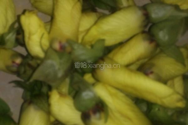 黄秋葵花煮蛋汤的做法图解1