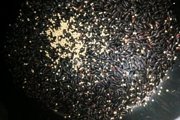 第一次尝试做腊味饭黑米腊味饭的做法图解1