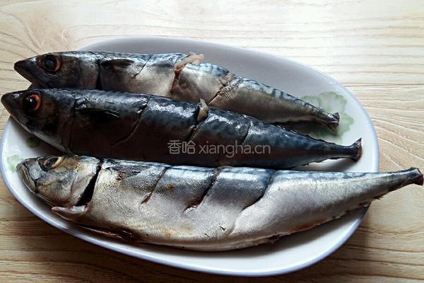 茄汁鱼的做法图解1