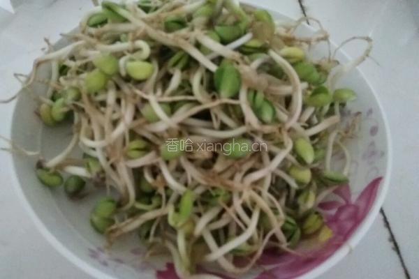黄豆芽炒肉片的做法图解1
