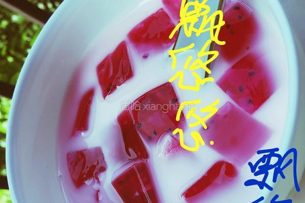 火龙果白凉粉果冻牛奶的做法图解22